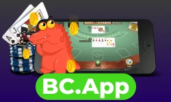 bc.app mirror small